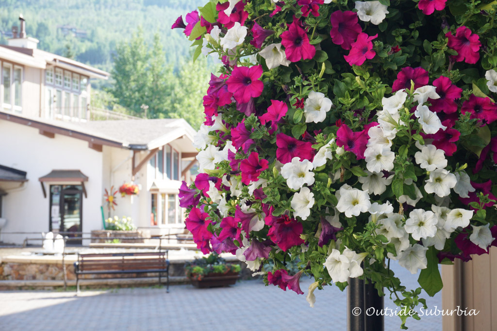 Flowers at Vail village, Colordo - Outside Suburbia