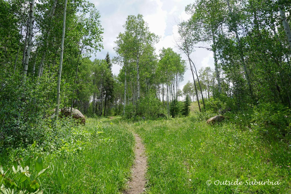 Hiking in Vail, Colorado Photo by OutsideSuburbia