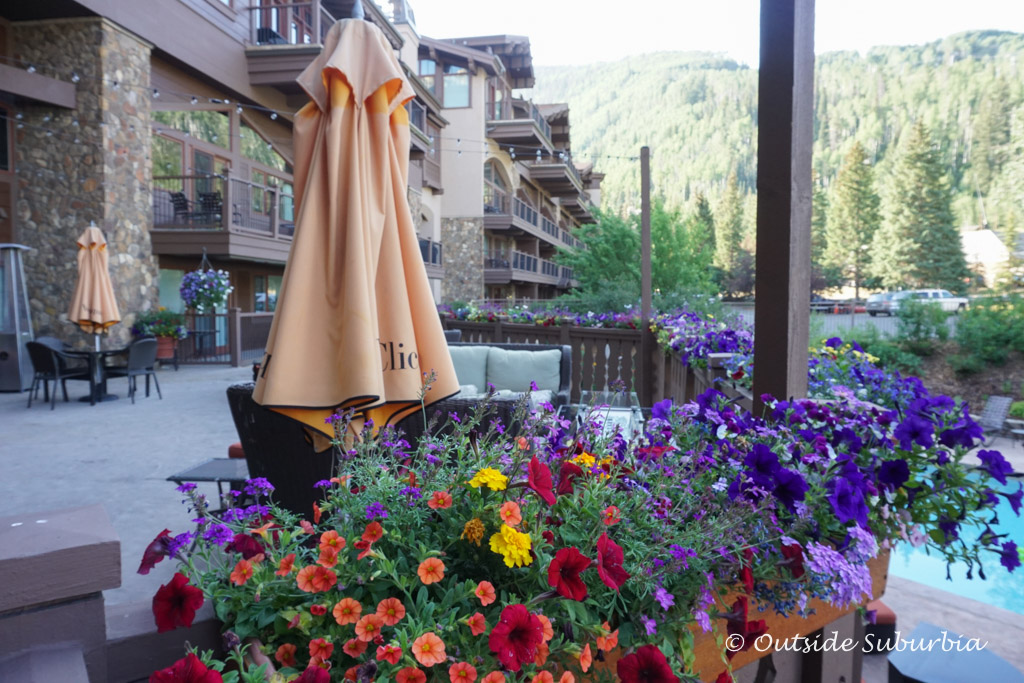 Flowers at Manor Vail, Colordo - Outside Suburbia