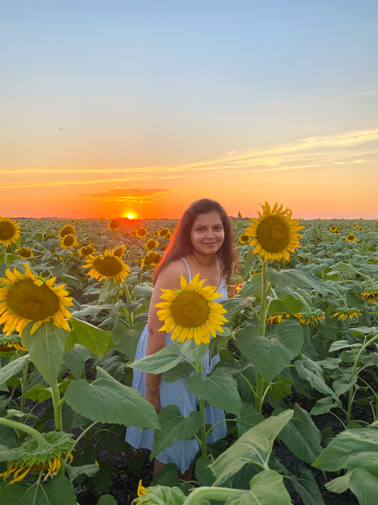 Beautiful sunflower fields in and around the Dallas area | Outside Suburbia