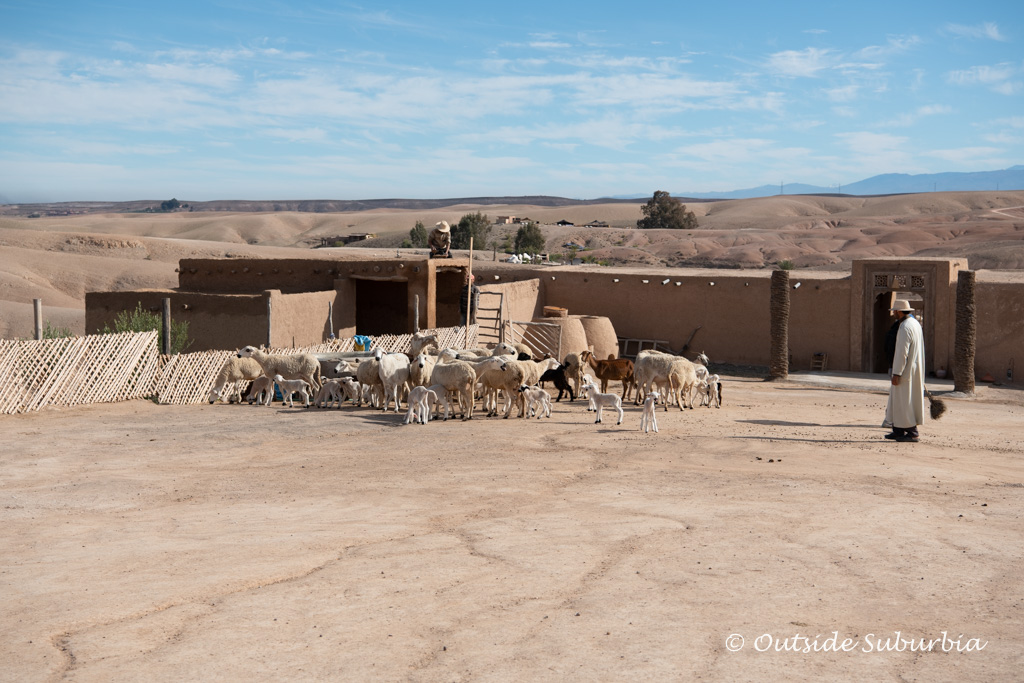 Agafay Desert near Marrakech | Outside Suburbia