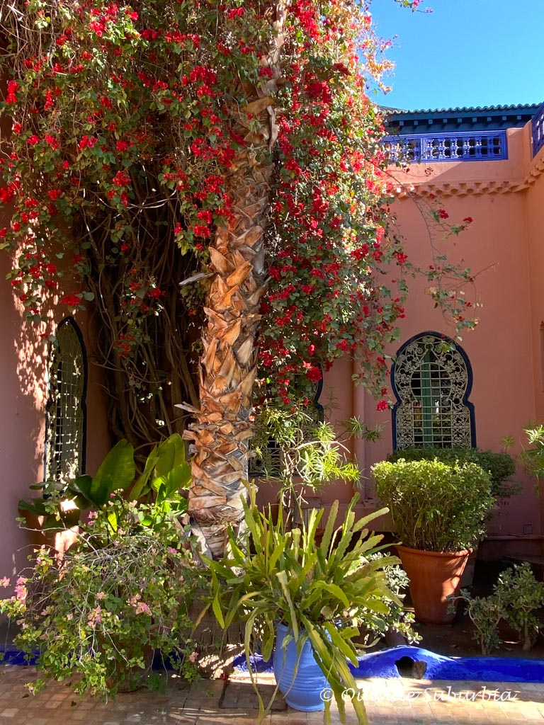 Yves Saint Laurent's Jardin Majorelle in Marrakech, Morocco | Outside Suburbia