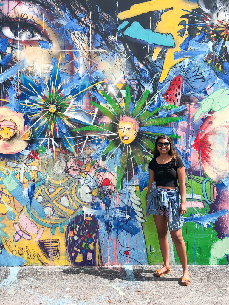 Wynwood Wall Murals in Miami | Outside Suburbia