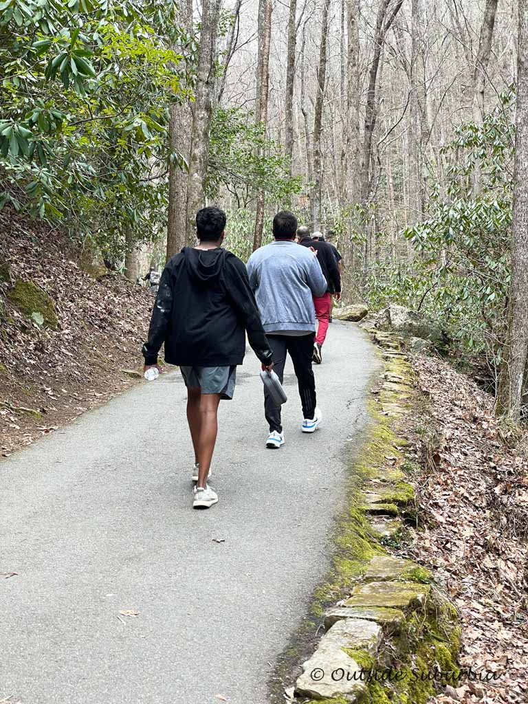 Paved trail to Anna Ruby Falls | Outside Suburbia