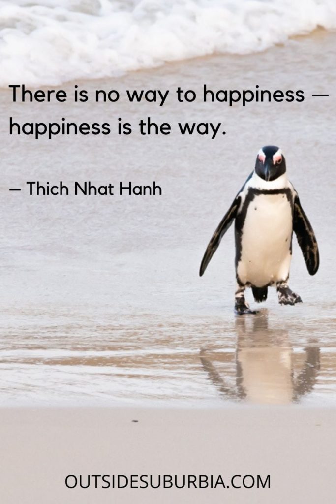 "There is no way to happiness — happiness is the way." 
– Thich Nhat Hanh