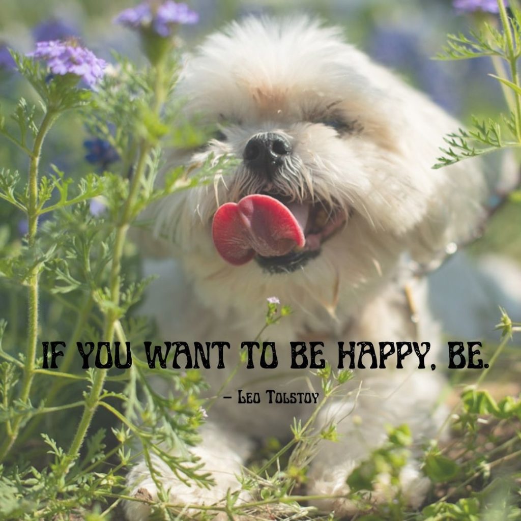 "If you want to be happy, be." 
– Leo Tolstoy