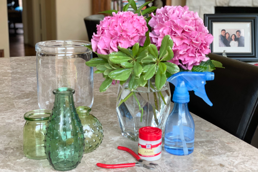 How to keep cut hydrangeas bouquets looking fresh | Outside Suburbia