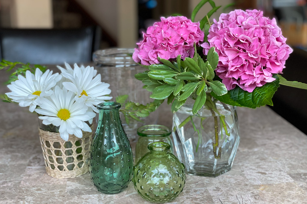 Pruning, Changing colors, Keeping cut stems from wilting & other Hydrangeas tips | Outside Suburbia