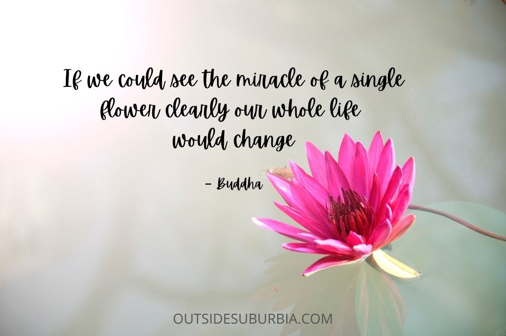 Beautiful Spring Quotes & Flower Captions • Outside Suburbia Family