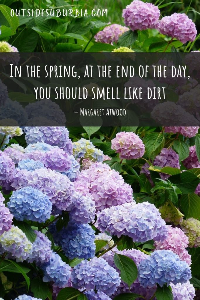 Beautiful Spring Quotes and Captions | Outside Suburbia