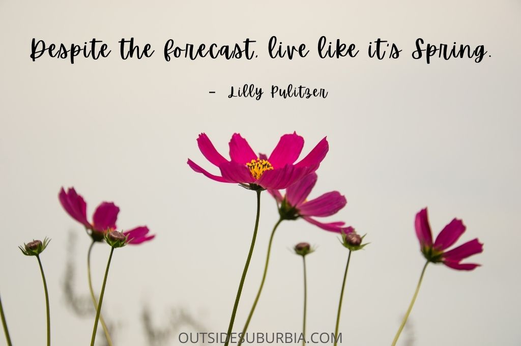 Funny Flower Quotes and Captions | Outside Suburbia