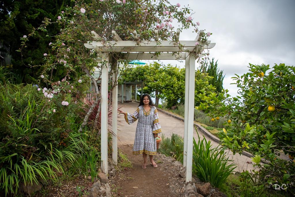 Maui Lavender Farm | Outside Suburbia