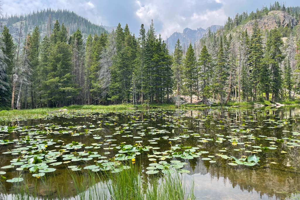 Everything to know about Colorado's Rocky Mountain National Park