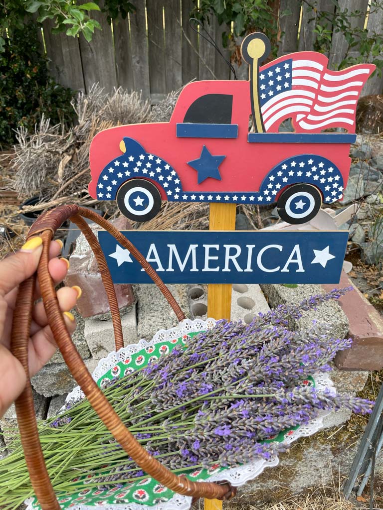 Lavender Field near Seattle | Outside Suburbia