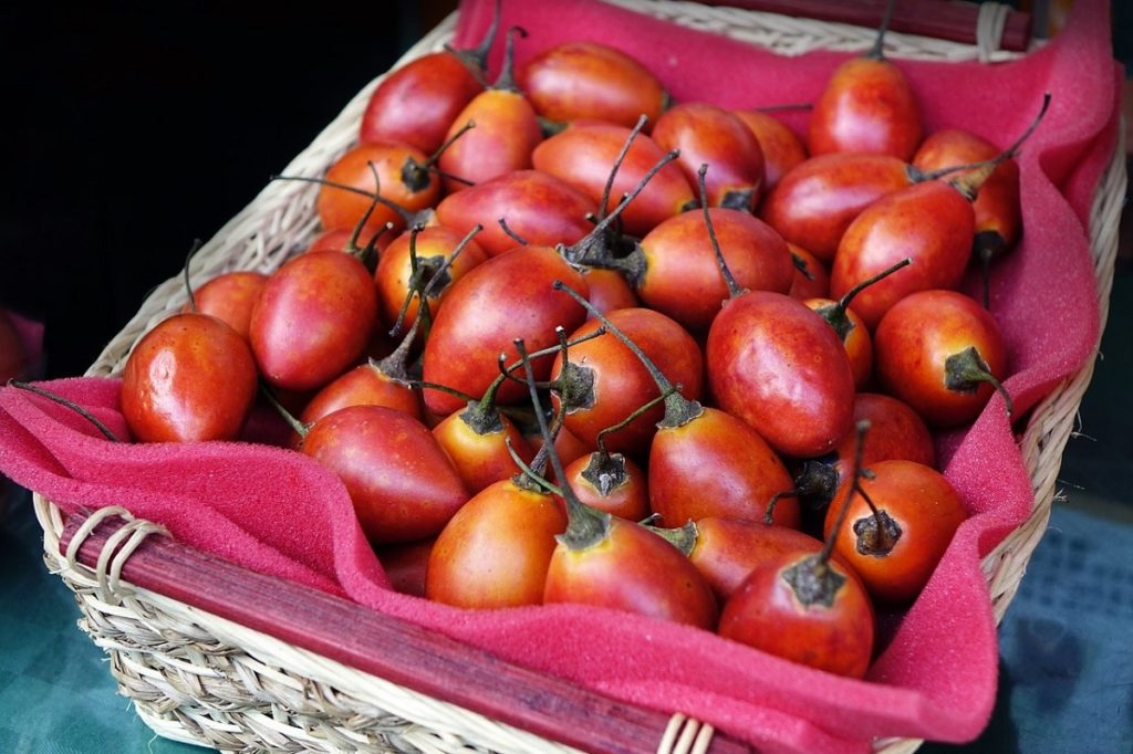 What does a tamarillo taste like?