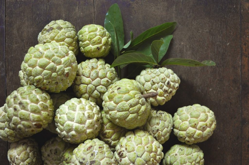 How to eat a custard apple or sugar apple