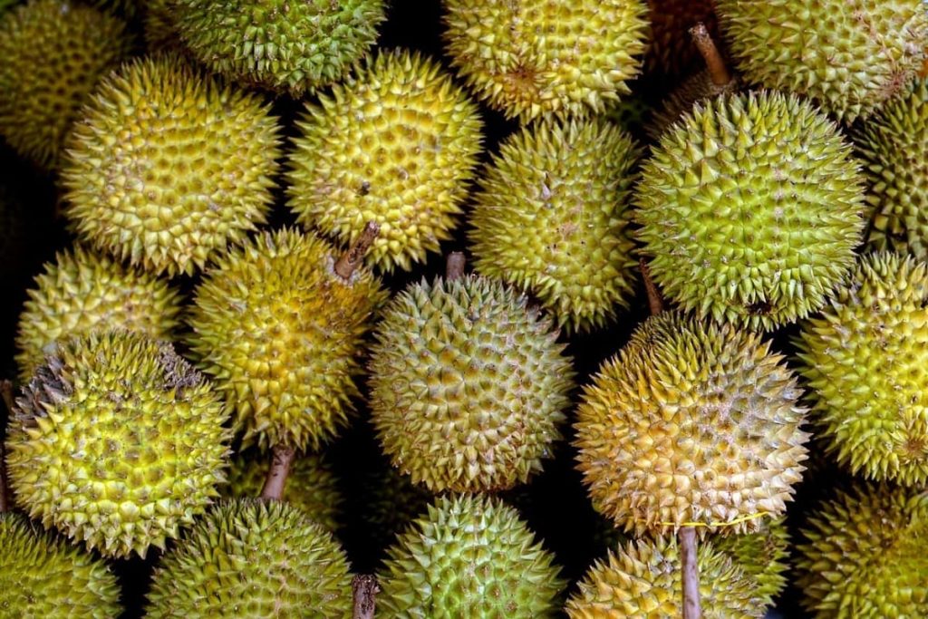 Why is Durian fruit banned