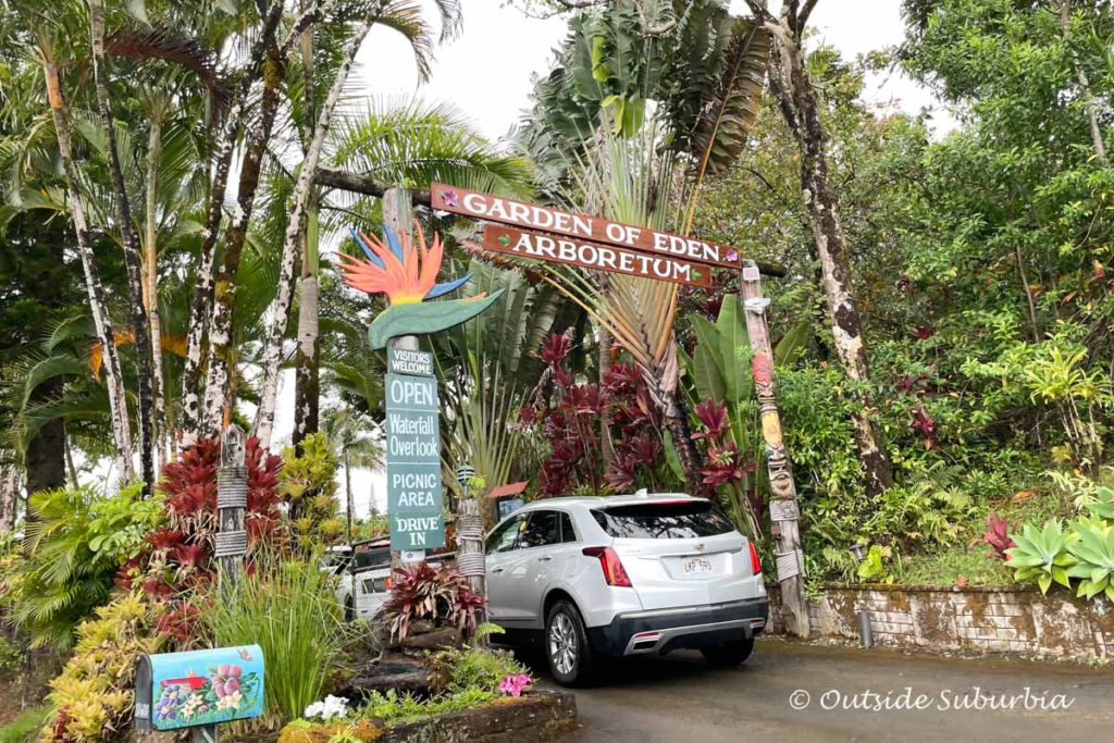 Garden of Eden Arboretum, Maui