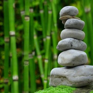 10 Easy steps to find Zen every day