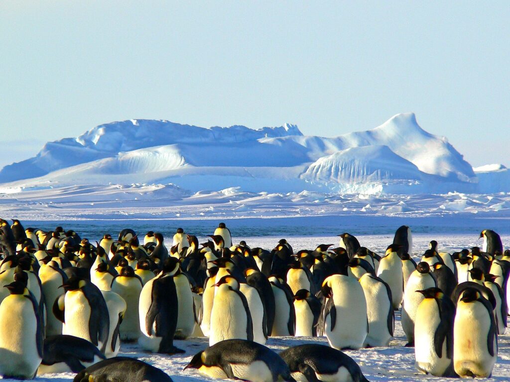 6 Amazing Destinations & Places to Visit in Antarctica | OutsideSuburbia