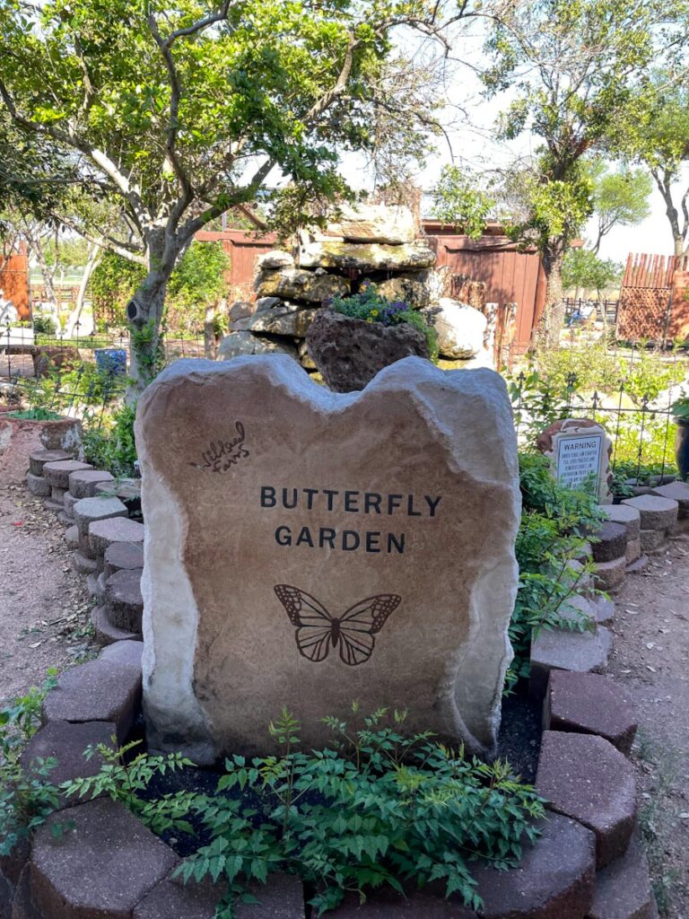Wildseed Farm Butterfly Garden, Fredericksburg, Texas