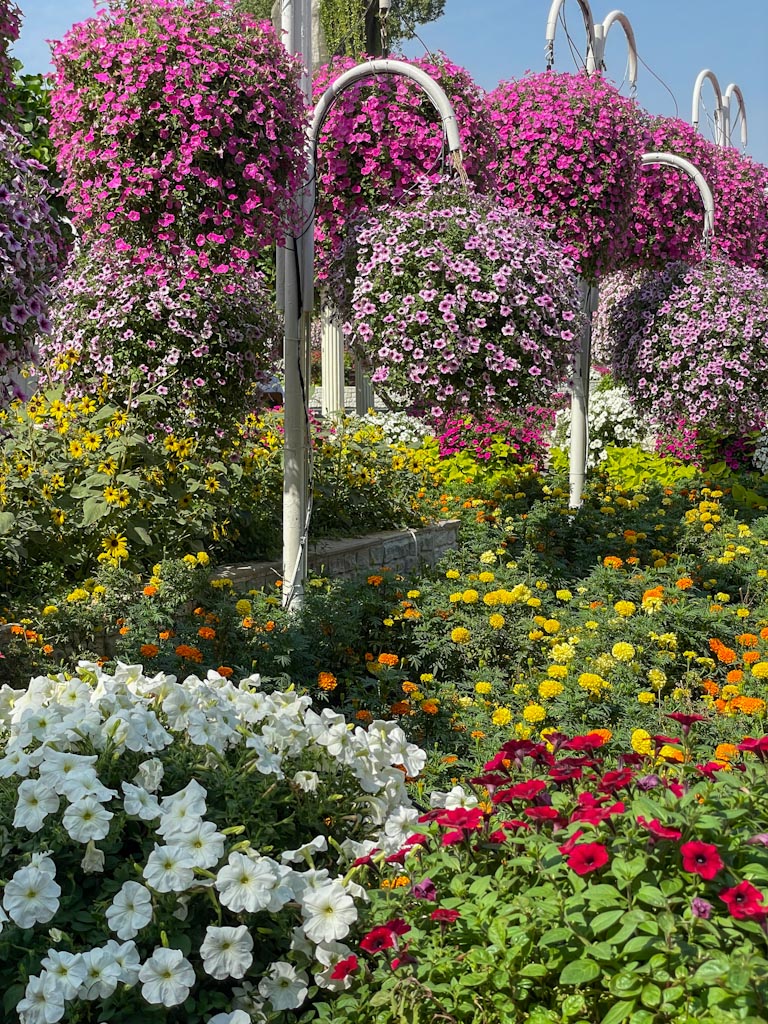 Is it worth visiting the Miracle Garden at Dubai