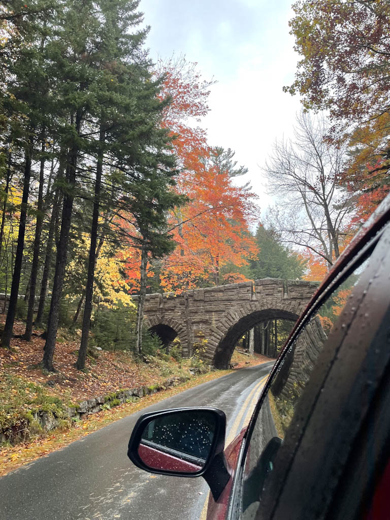 Carriage Roads, their paths blanketed in golden maple leaves. Acadia NP